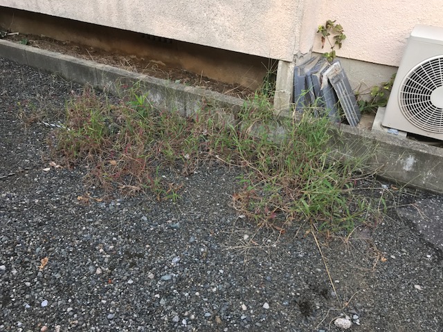 竹の家駐車場　草刈り前