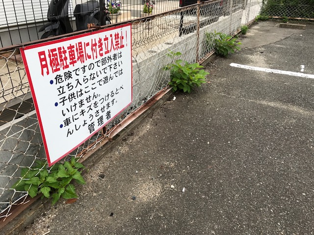 草刈り前